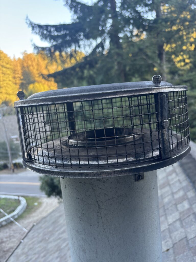 Gray chimney cap with protective mesh screen installed on chimney in Half Moon Bay CA
