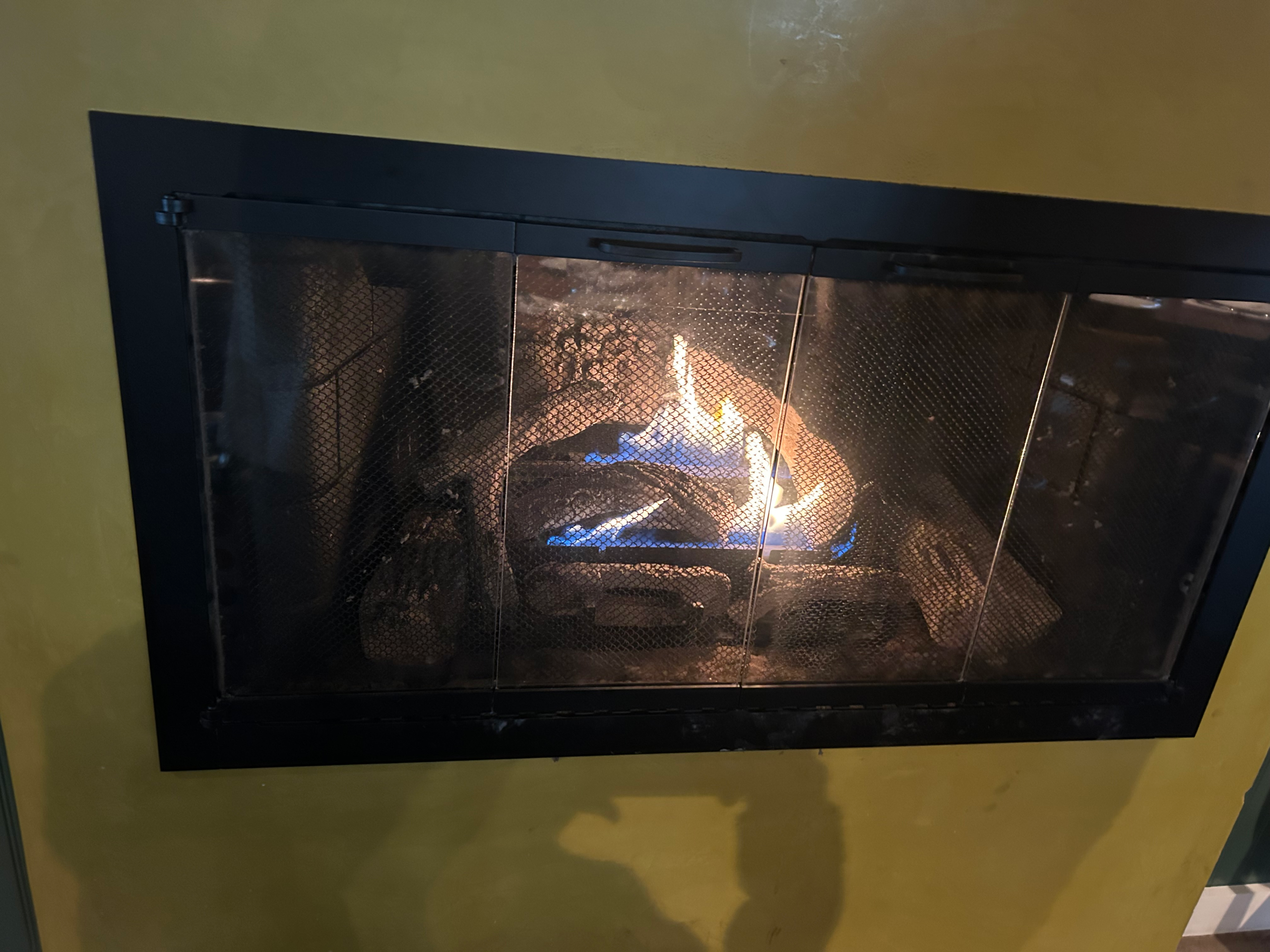 Gas fireplace behind glass installed in residential living room in Fremont CA
